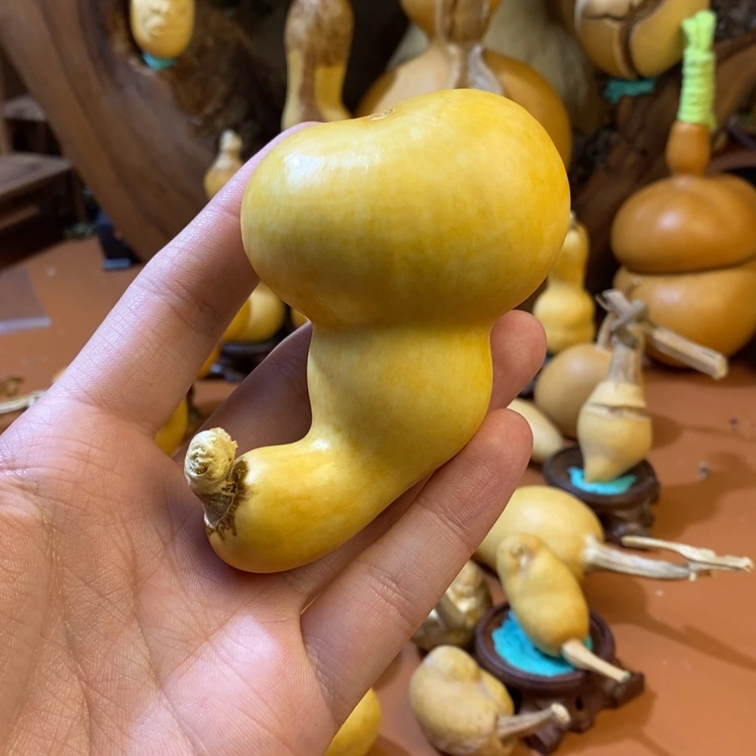 二***子教练教练教练教练啦