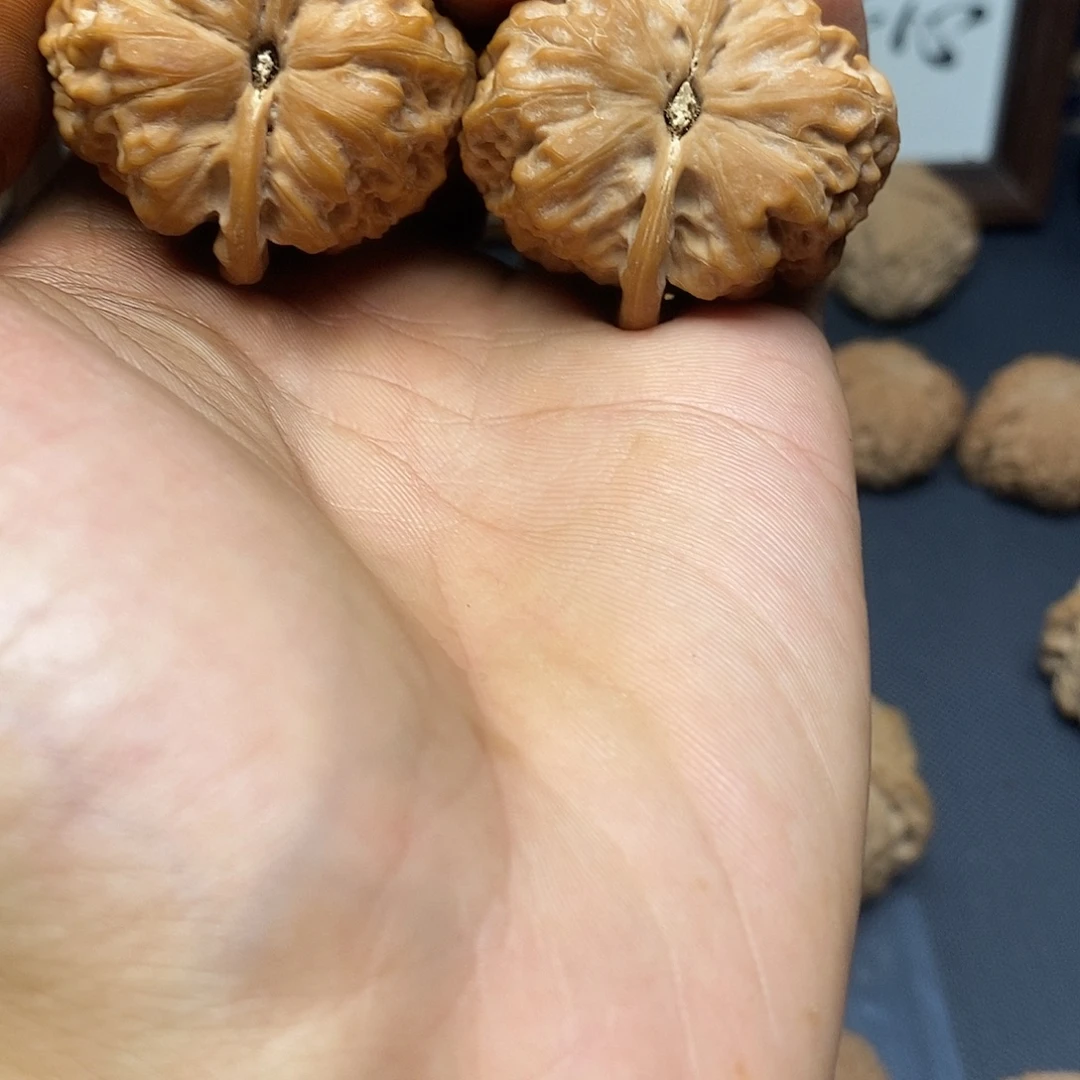 叁***文玩核桃把件金钟肚41