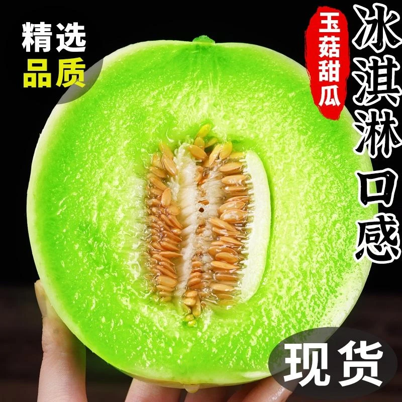 【坏果包赔】山东冰淇淋玉菇甜瓜新鲜水果当季整箱自然种植香甜美味