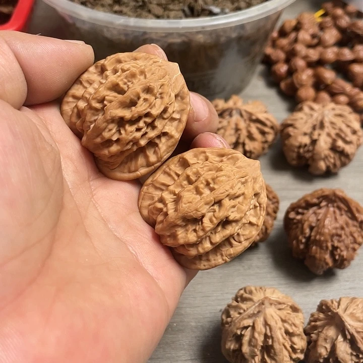 【闪购商品】?****空秦岭虎头1111111111111111