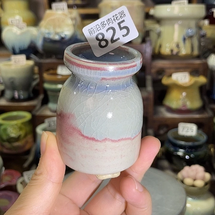 狼盆内口径4高度7