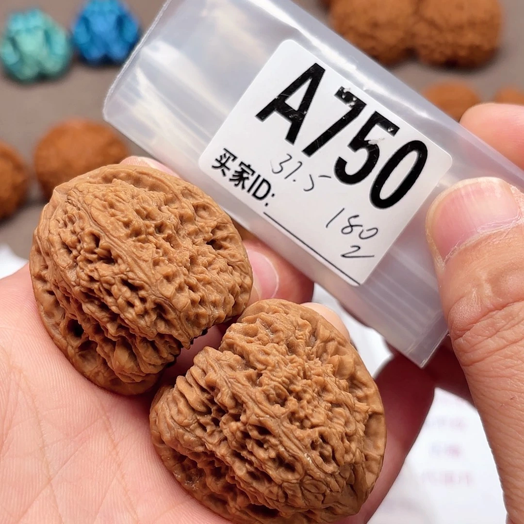 文玩核桃把件37.5南疆750