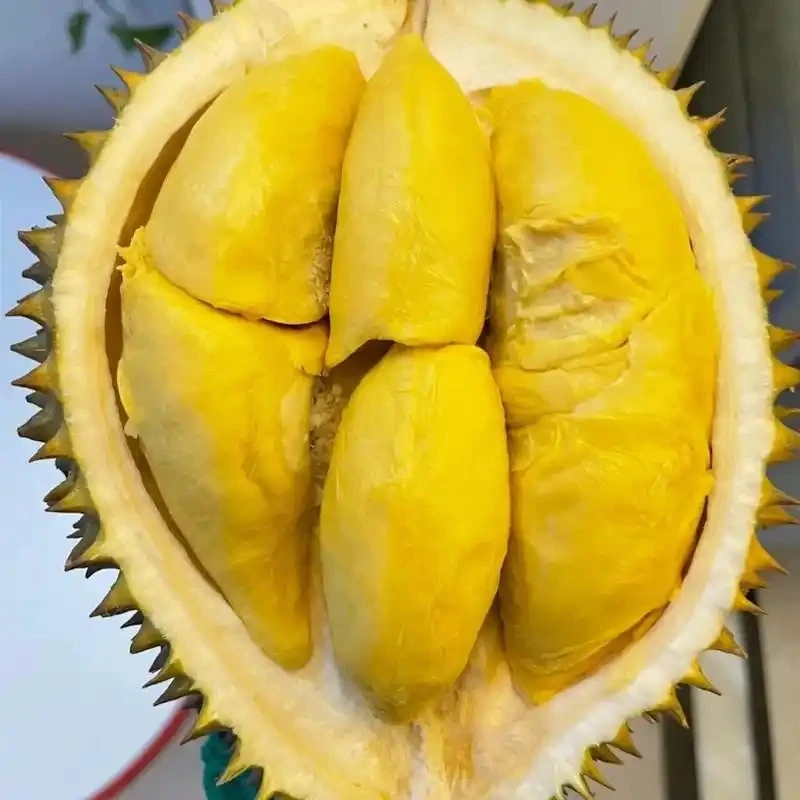 树熟鲜榴莲核小3.8-5斤现场开果介意勿拍金枕泰国金枕泰国