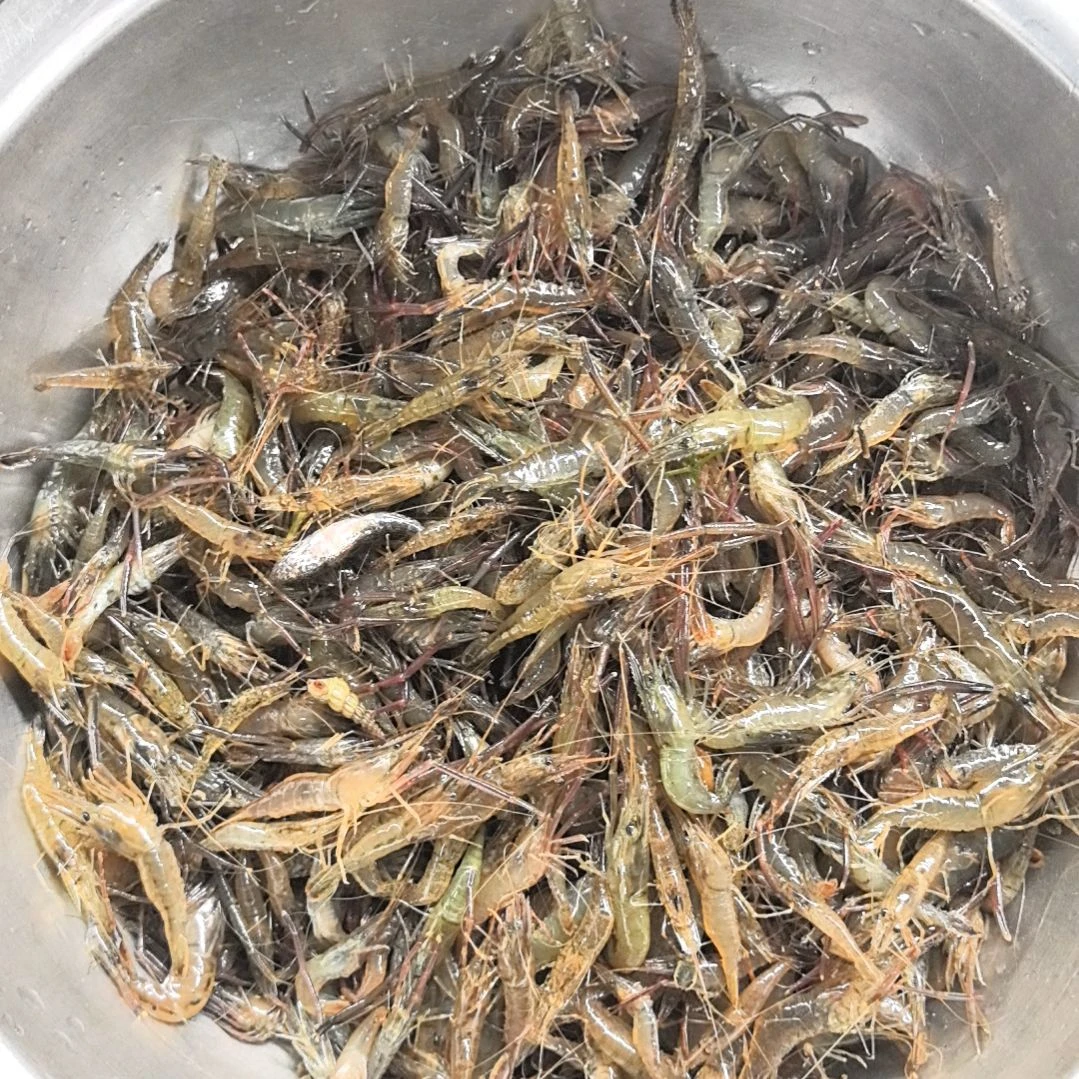 石台小李代购河虾2斤