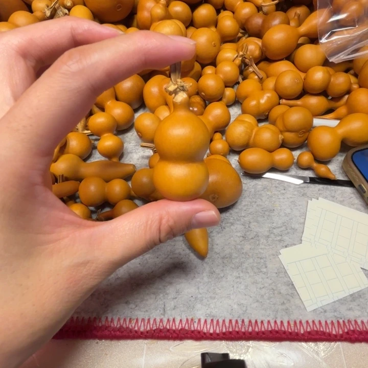 y***y歪歪的一把八爪葫芦