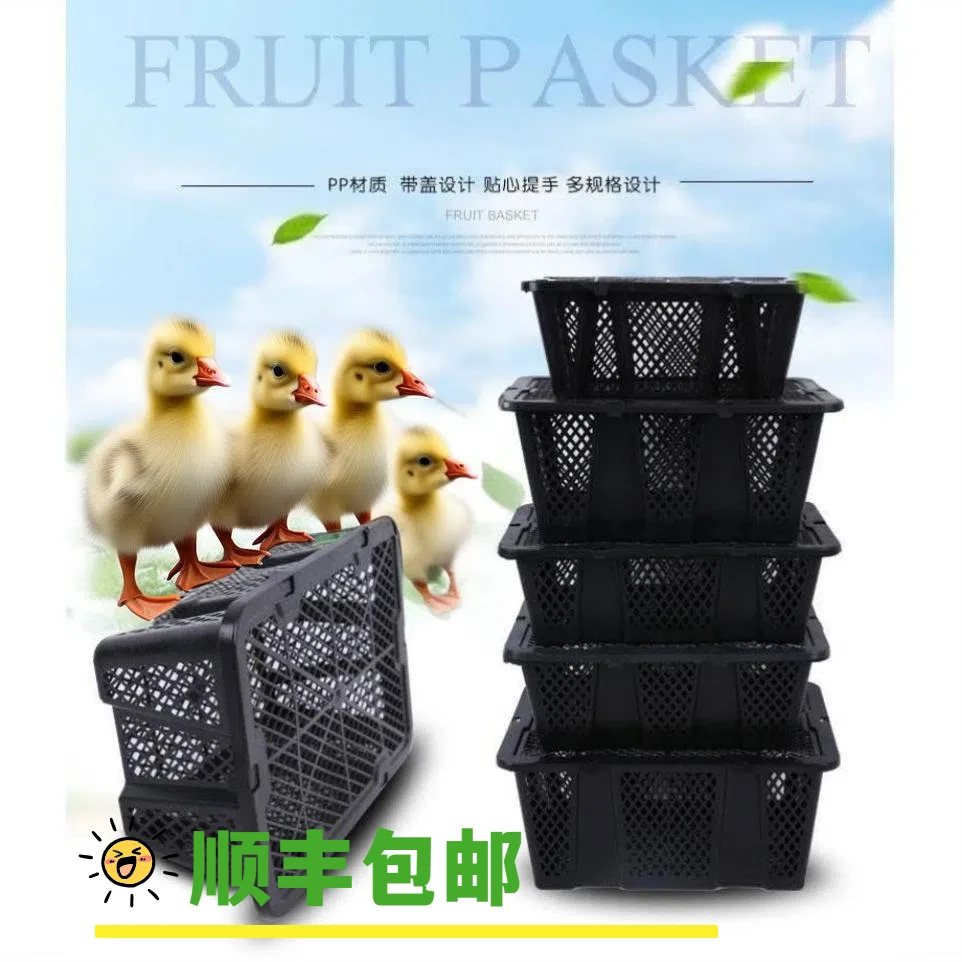 3.5mm加厚脱温鹅苗运输塑料筐孵化场都在抢的脱温鹅苗塑料筐