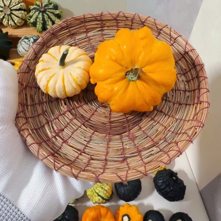 情**间墨西哥七彩葫芦