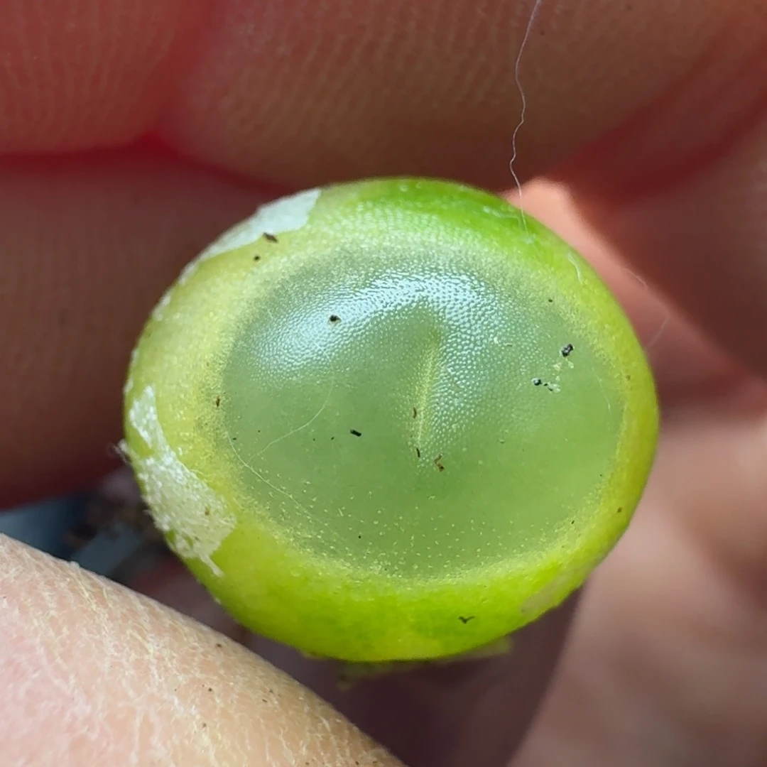 170点赞福利00000000