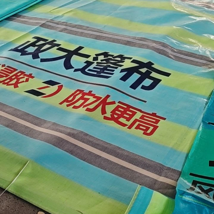 绒质哈哈哈哈哈哈哈哈