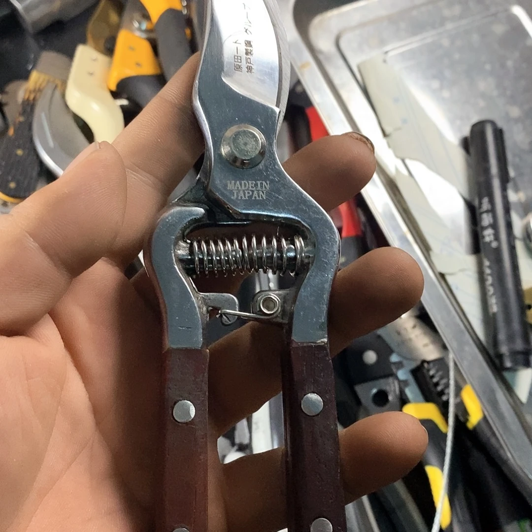 五大系列近二十款游戏在