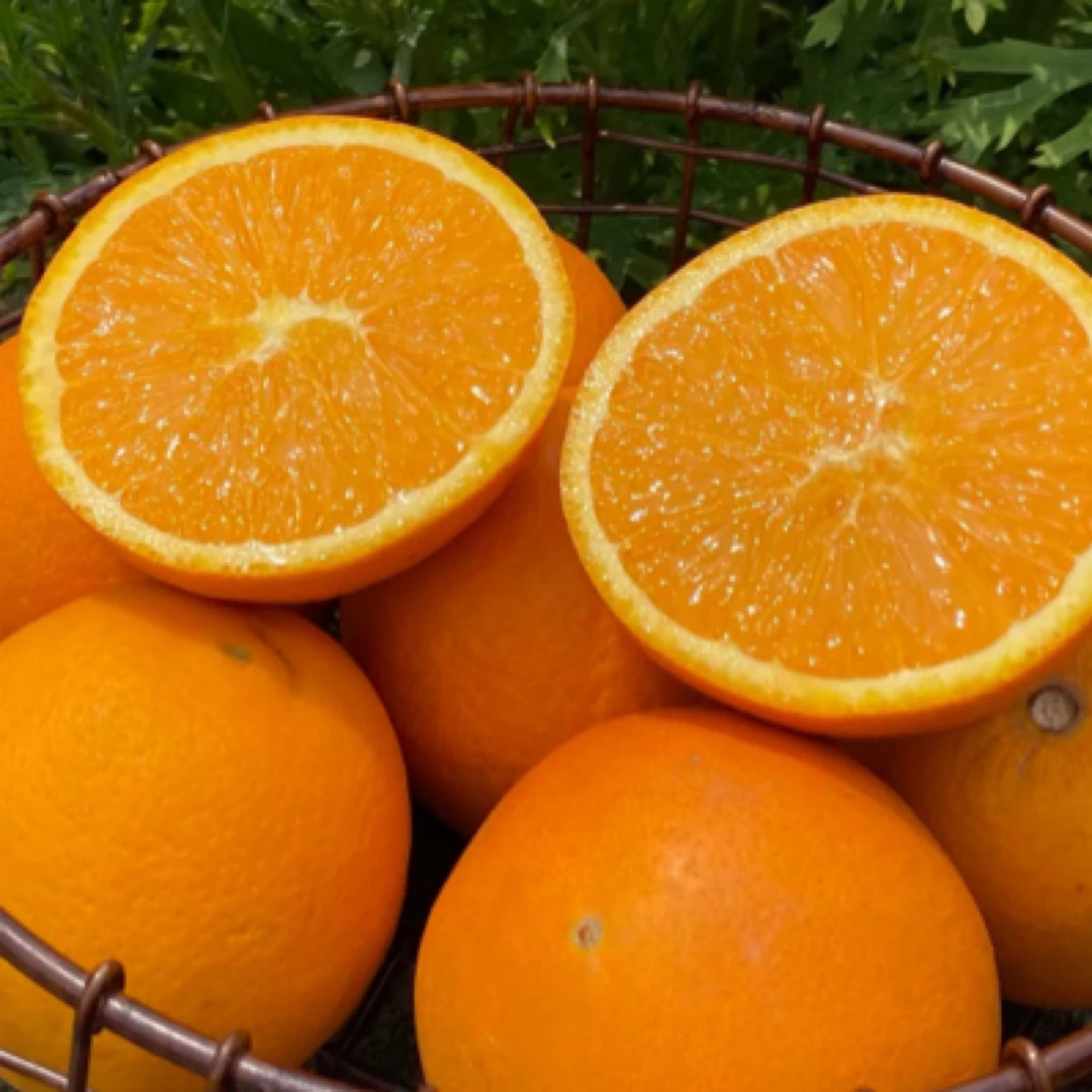 澳洲橙 约500g