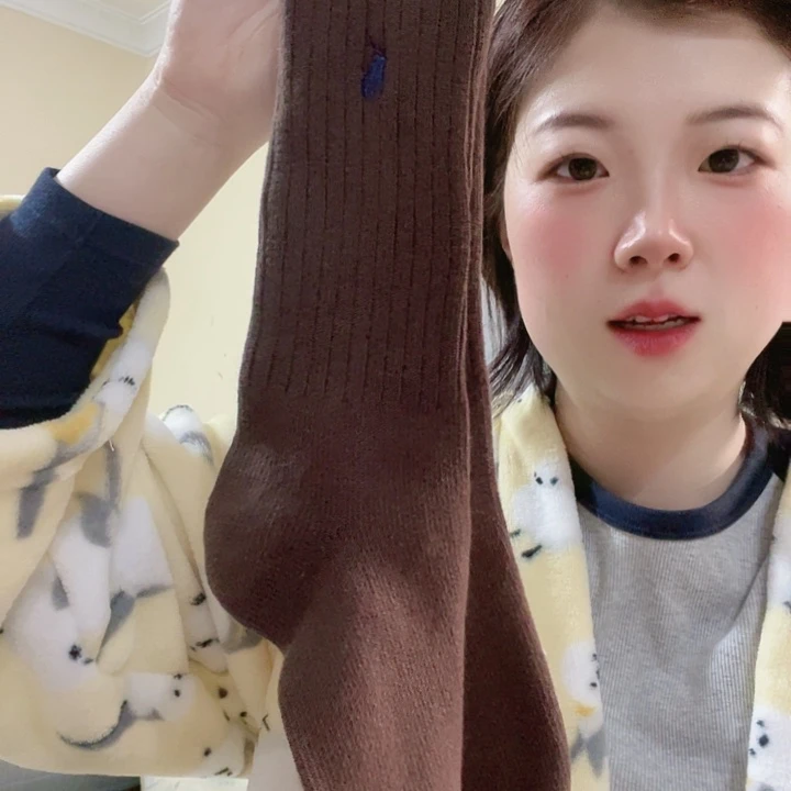 三醋酯纤维拉夫棕色袜子