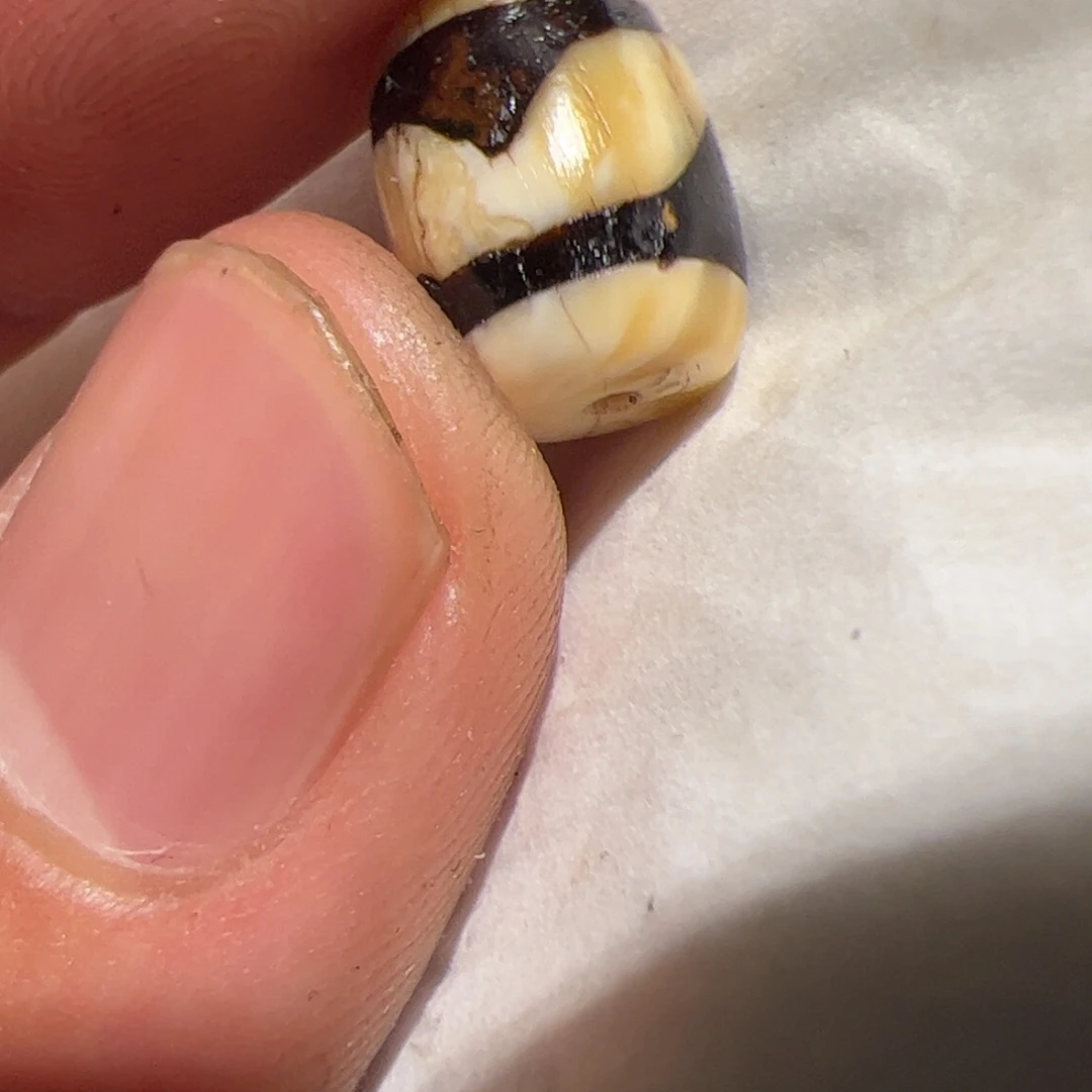 玻璃项圈你在一起