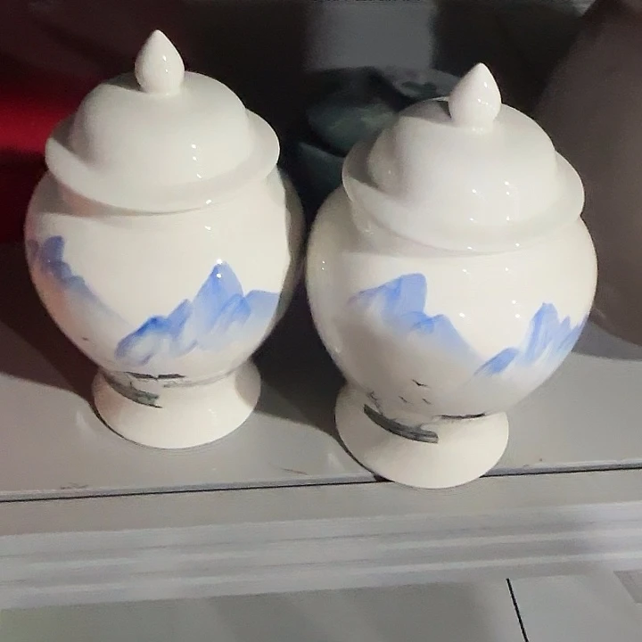 茶叶罐储物罐密封罐！