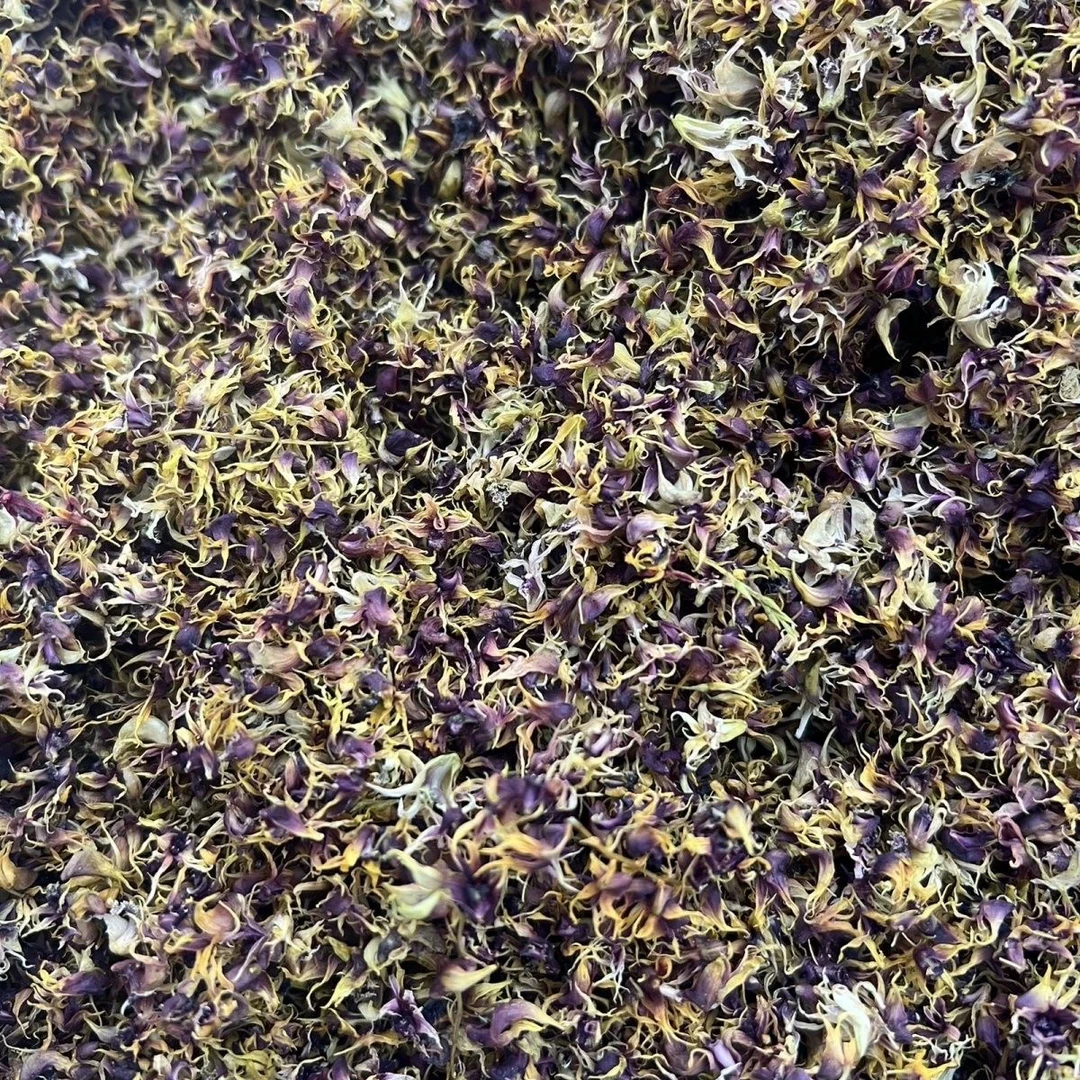 【老承山货】云南中缅边境农家珍虫石斛花