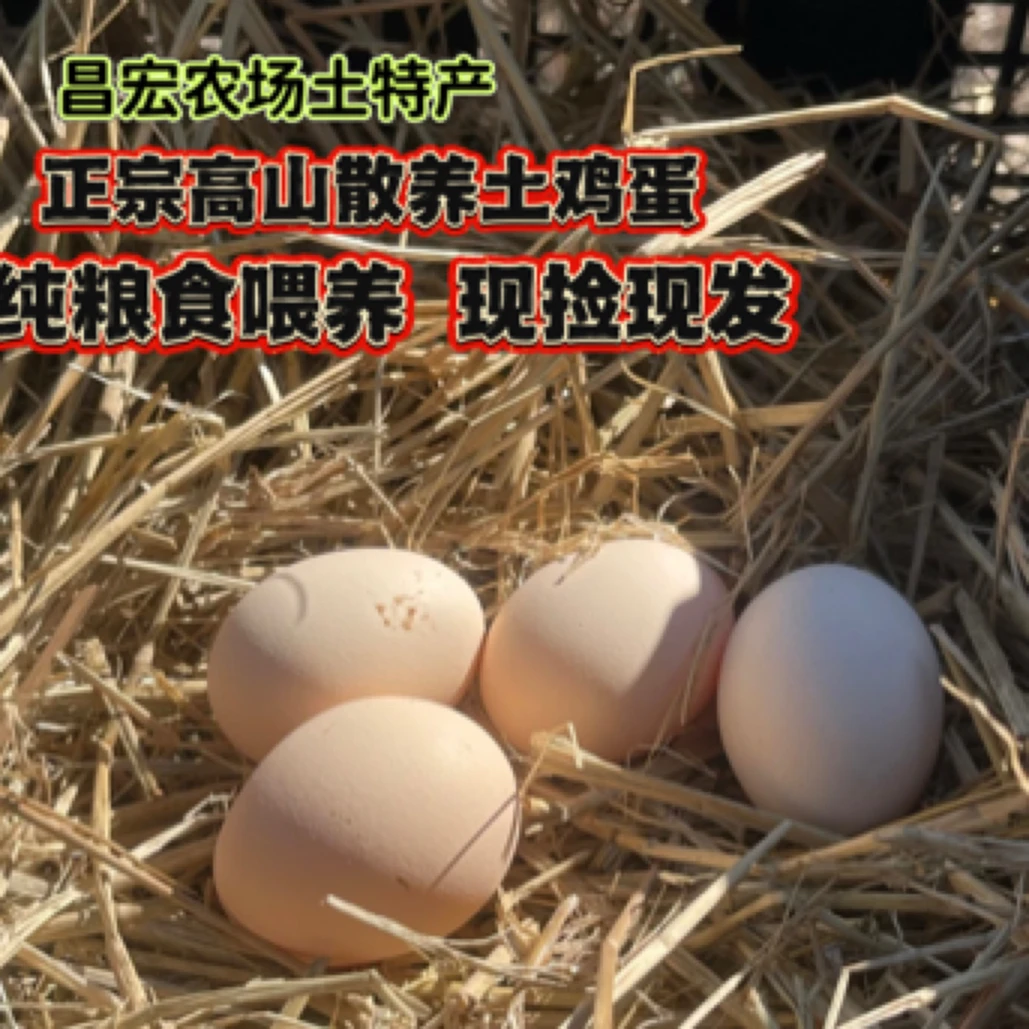 高山散养土鸡蛋50枚现捡现发净重4.9斤以上正宗，五谷喂养
