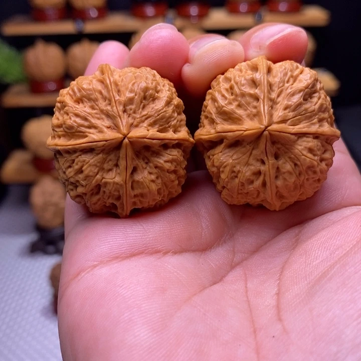 核桃小四棱44号