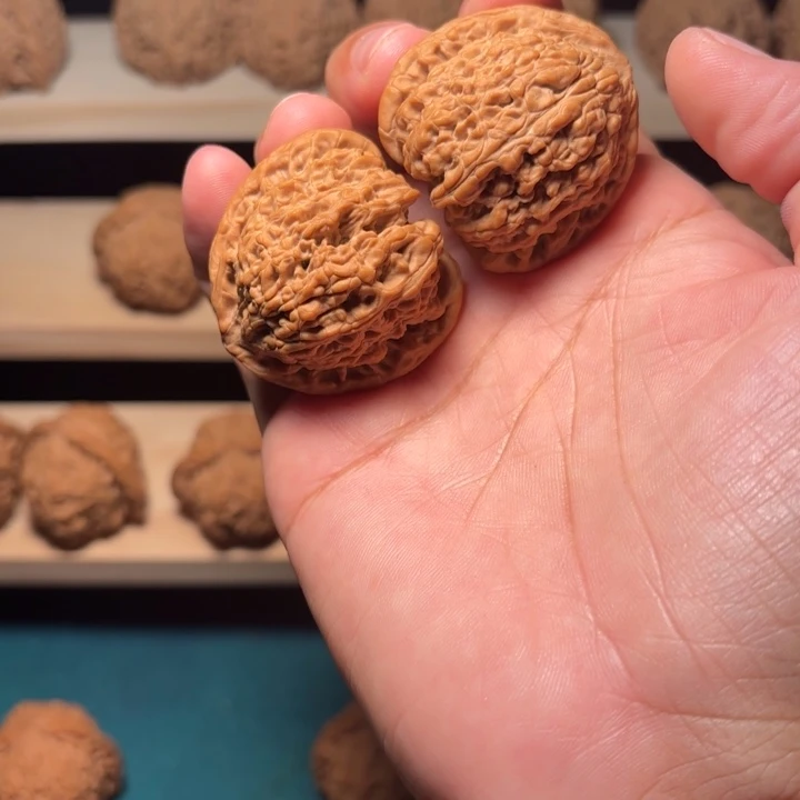 这***么全品无修承德密纹儿