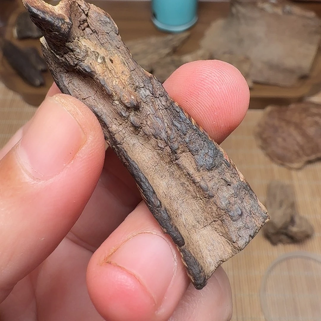 肖***客沉香沉水老海南2.7g+