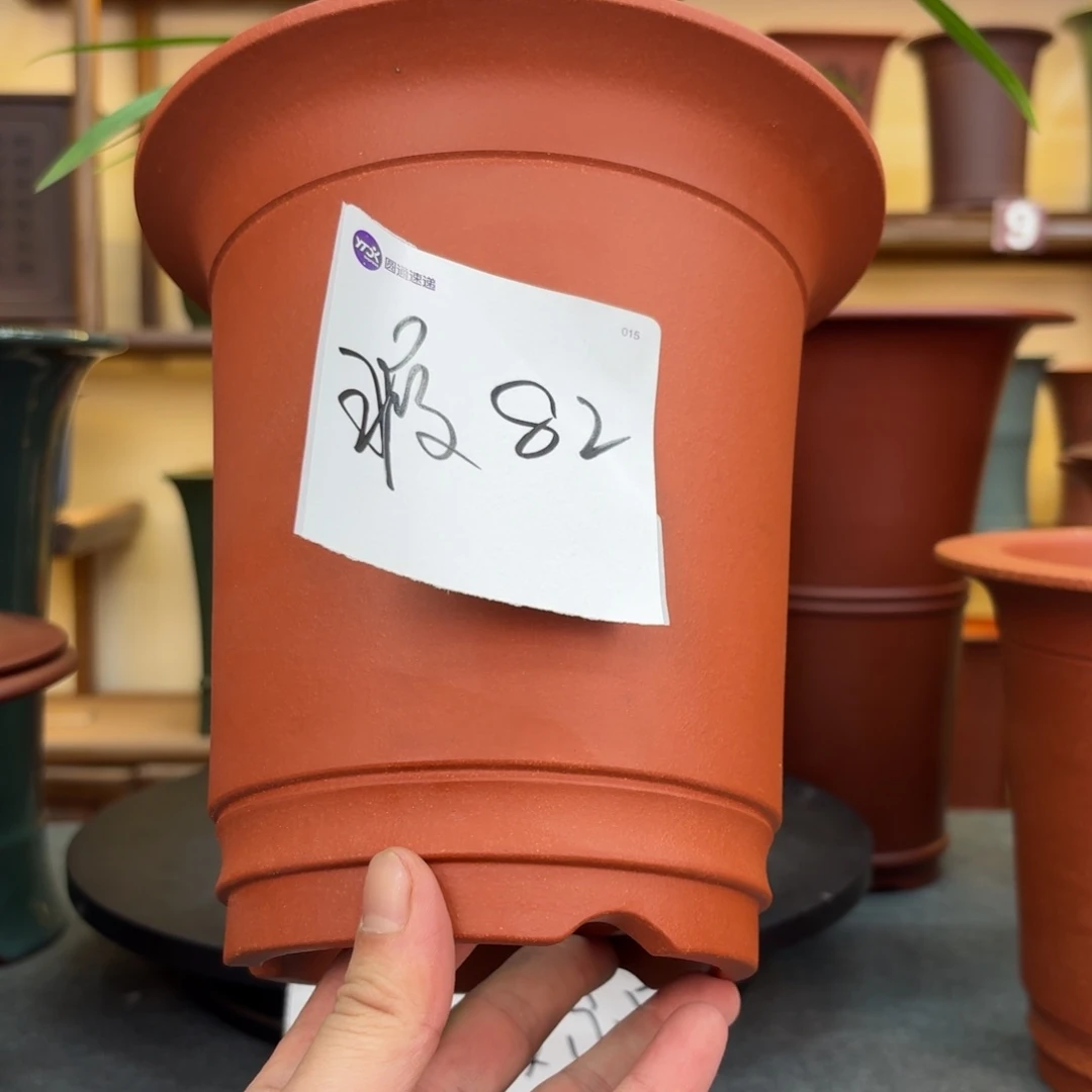 紫砂花盆四*兰花426588556688526555