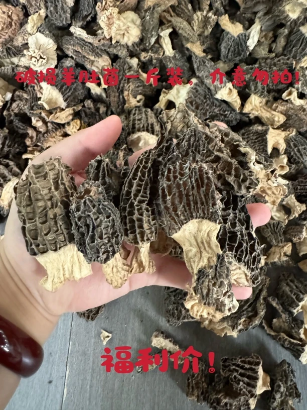 2025头茬新货羊肚菌微损大破一斤装！家庭实惠装！