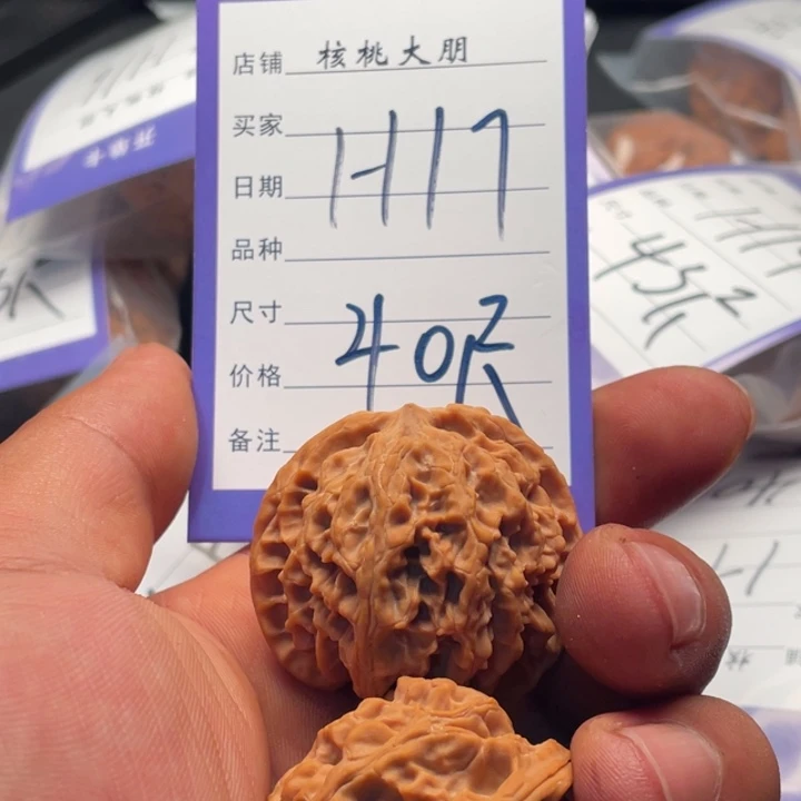 核桃苹果园40尺寸