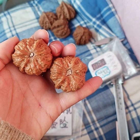 ****️把件文玩核桃蛤蟆头异型