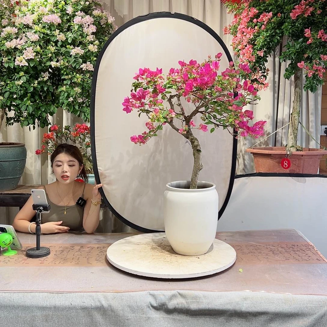 大量花朵（建议范围：8朵-15朵 或40%以上）云*