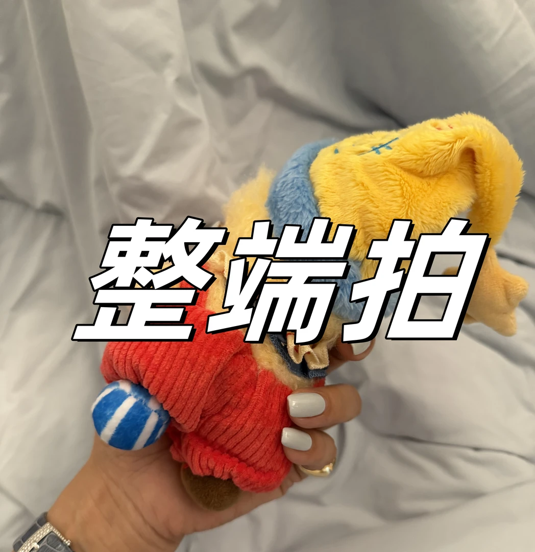 【五叔】端 整的 服饰配件