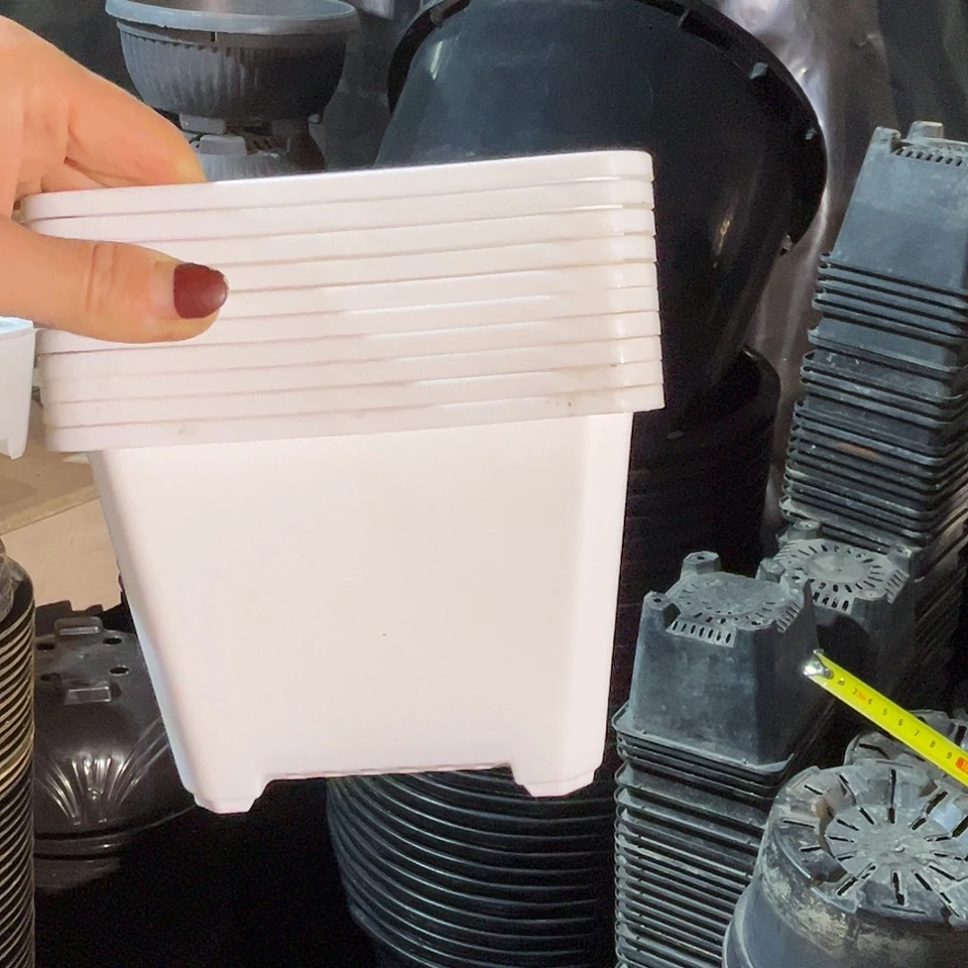 旧口径15.5.白方盆10g