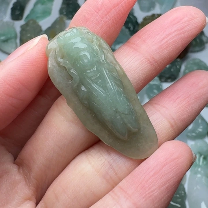 翡翠未镶嵌颈饰知了