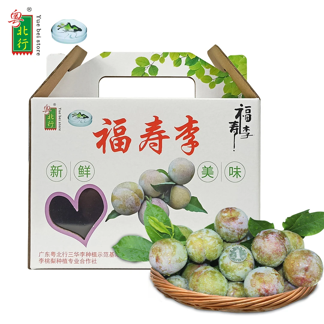 粤北行三华李5斤中果 可泡酒 甜脆多汁福寿李子新鲜皮薄肉厚广东