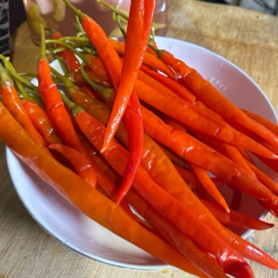 湖南湘西农家特产酸泡辣椒