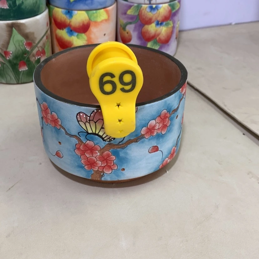 【闪购商品】红陶王**然