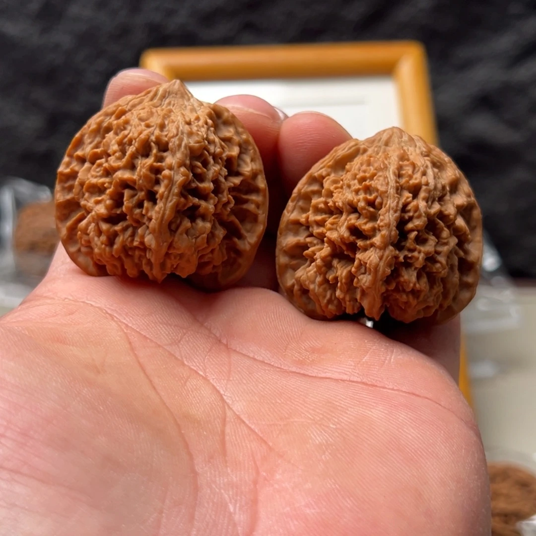 躲***藏把件文玩核桃满天星41.5