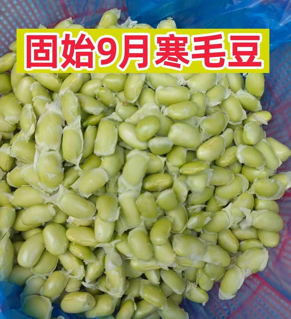 河南固始9月寒毛豆农家手工新鲜现剥毛豆米当季时令保鲜发货