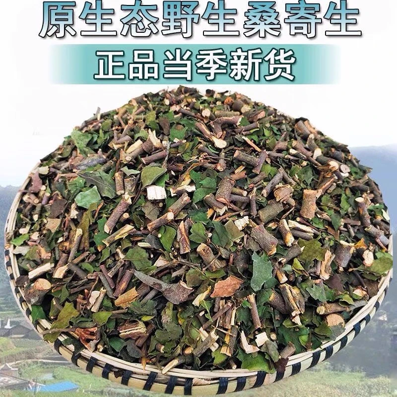 广西野生桑寄生干货包邮广西深山桑寄生茶可和杜仲茶搭配泡茶包邮