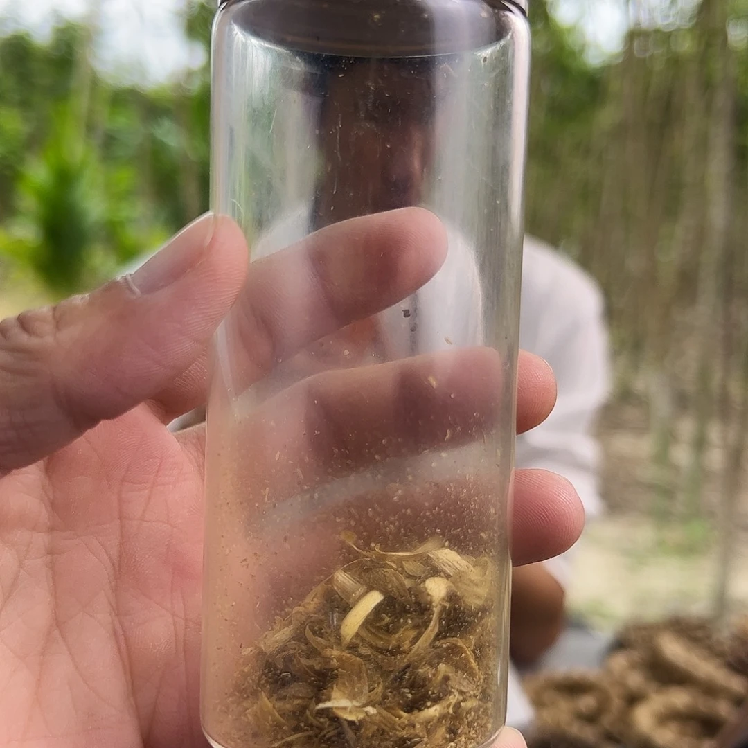 沉香沉香香囊雅*沉香补发珠子原材料福利款