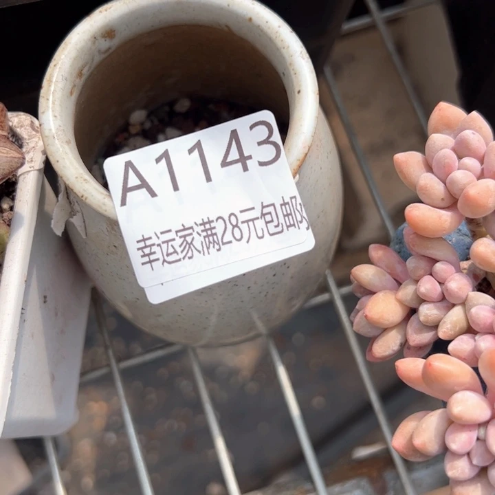 D****°幸运的是你自己都