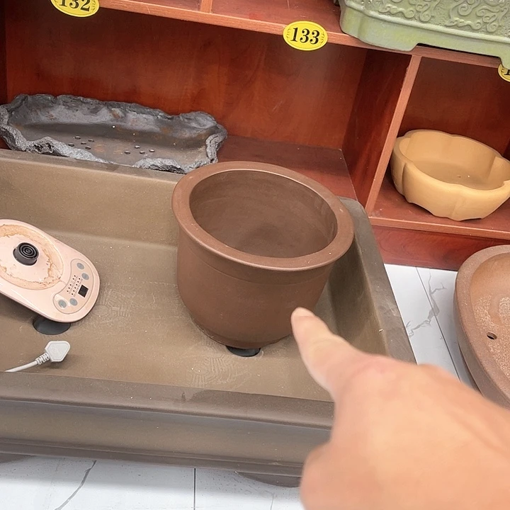 紫砂花盆花****媒这个世界上最好2个