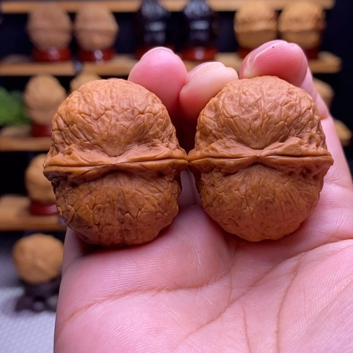 木质类云铁保山化石5号