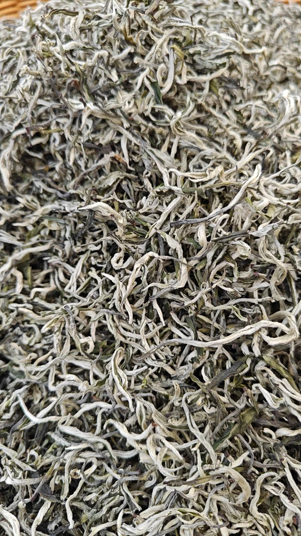 早春特级白银丝（ 500克）鲜爽甘甜！