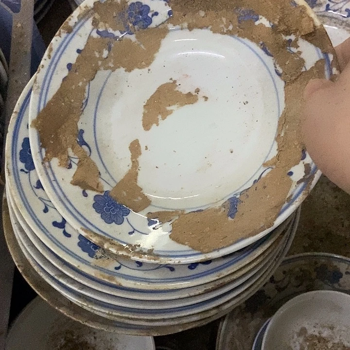 N***n摆件10个20厘米芙蓉花深盘