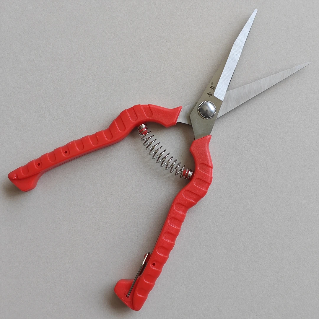 10把 金钻62刃长柄葡萄剪 摘山楂剪子 稀疏果粒剪