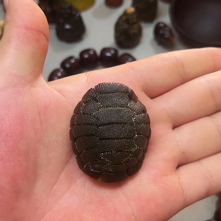 大叶紫檀（黑酸枝木类）