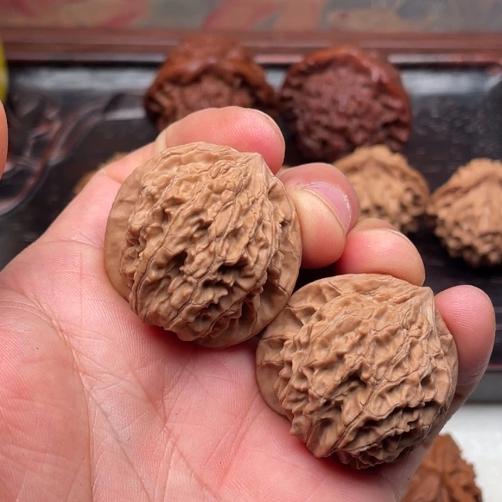 核桃秦岭山脉核桃