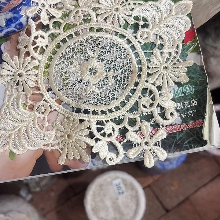 许纯的花房蕾丝5元随单发