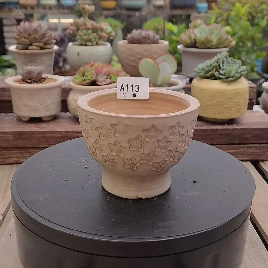 印章多肉花盆A113