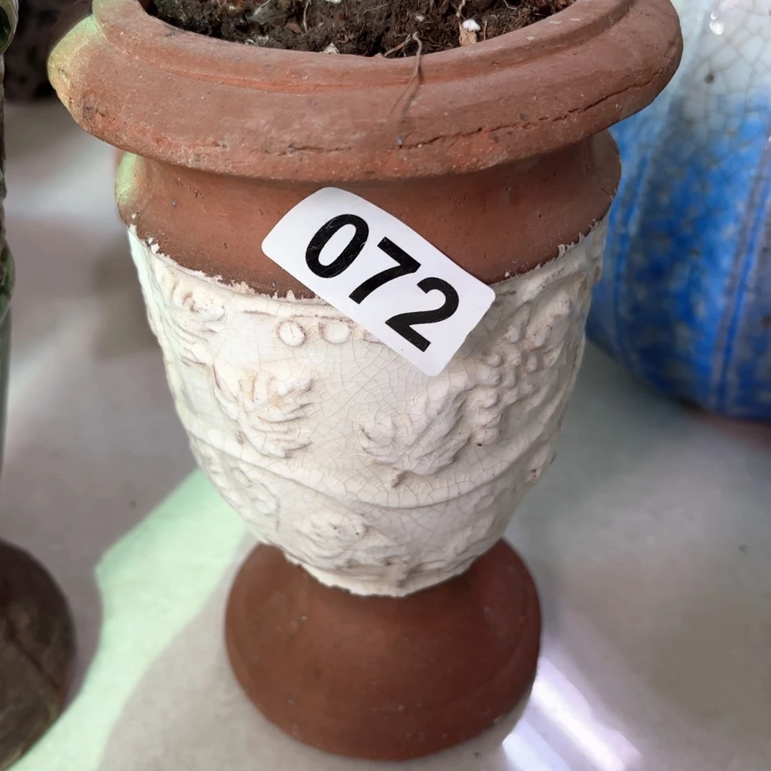 许纯的花房 孤品072