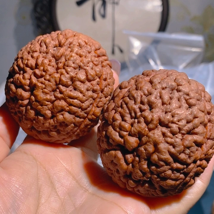 野生三瓣脑纹大金刚5762